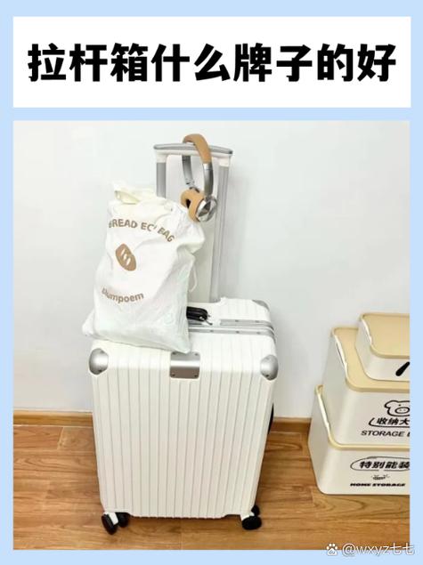 日默瓦和新秀丽拉杆箱哪个好