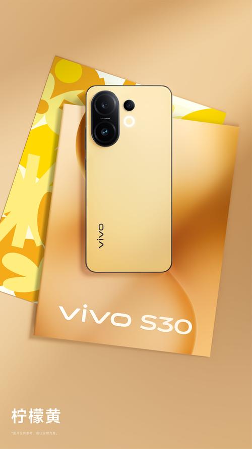 vivoS30扫脸解锁在哪里