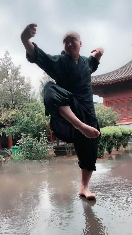 醉拳视频