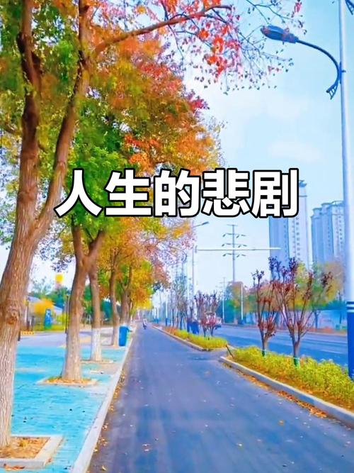我的悲剧人生