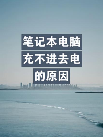 苹果电脑充电充不进去