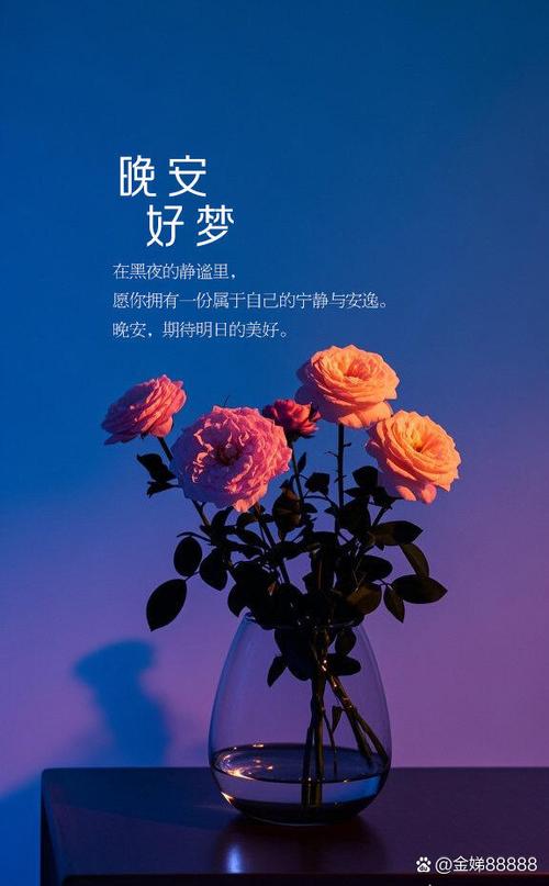 每日早晚安打卡有用吗