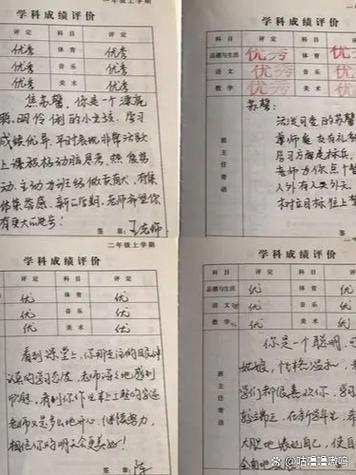 综合素质评价
