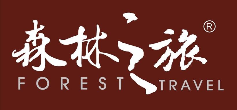 forest怎么从国际转到大陆