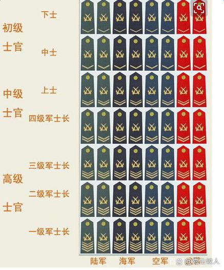 怎么报考部队文职人员