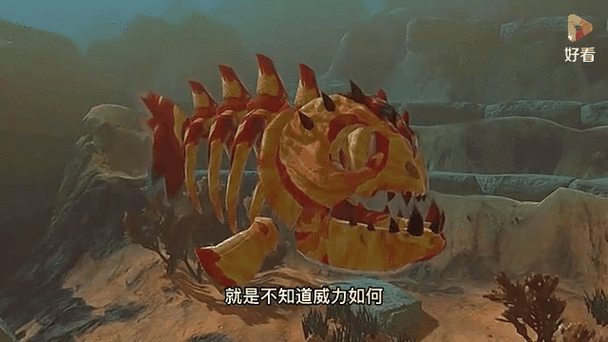 海底大猎杀实力排名