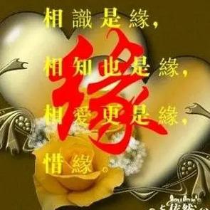 有缘相遇高情商句子