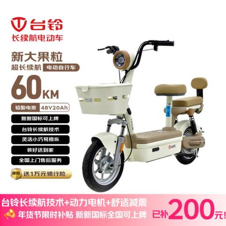 台铃大果粒电量怎么看