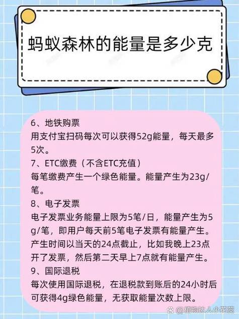 262能量是什么消费