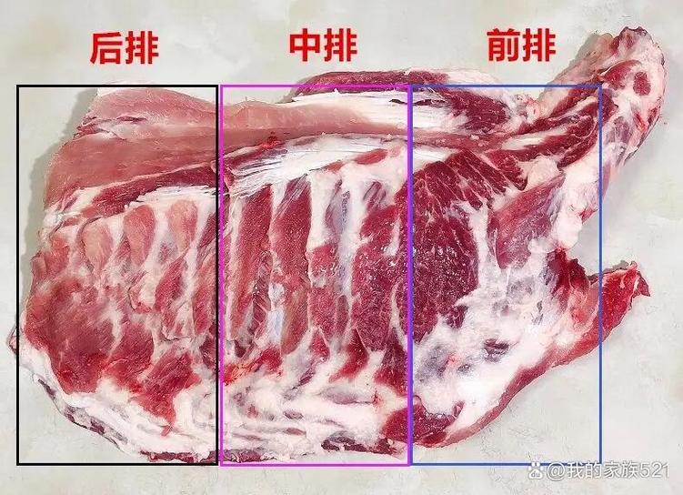 猪前排骨好吃还是后排骨好吃