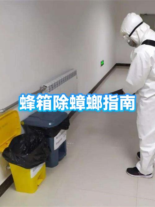 新蜂箱要怎么处理才能进蜜蜂