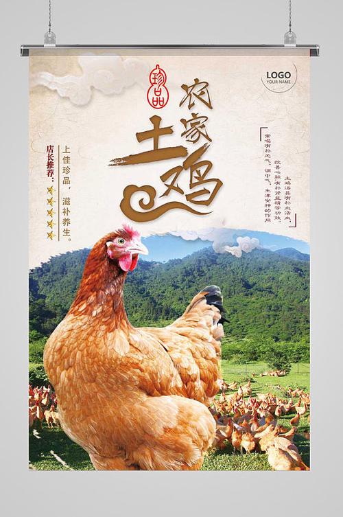 养鸡场广告图片