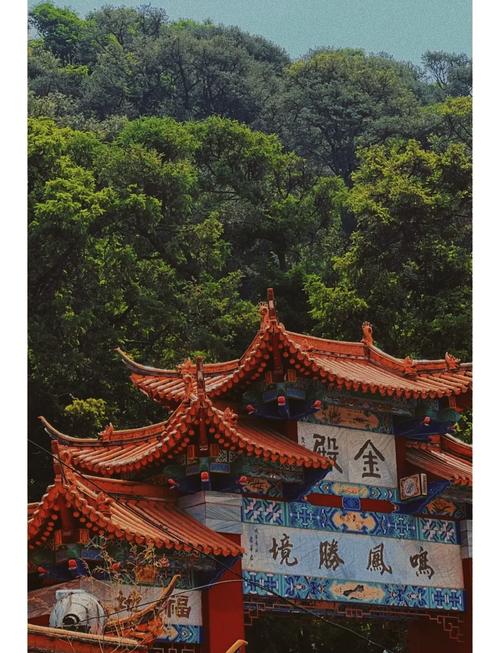 牛阅网金殿欢