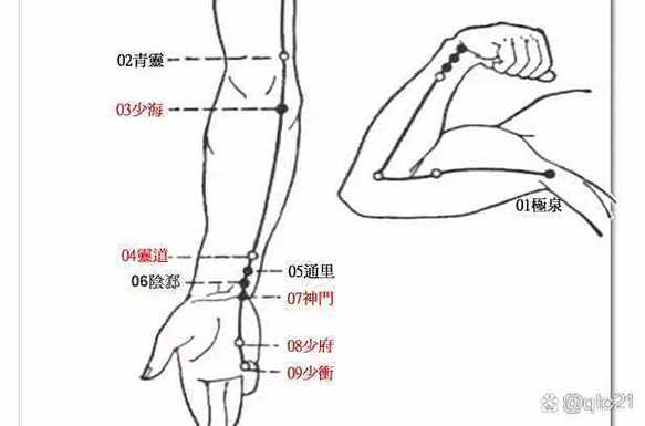 手少阴心经准确位置视频作用