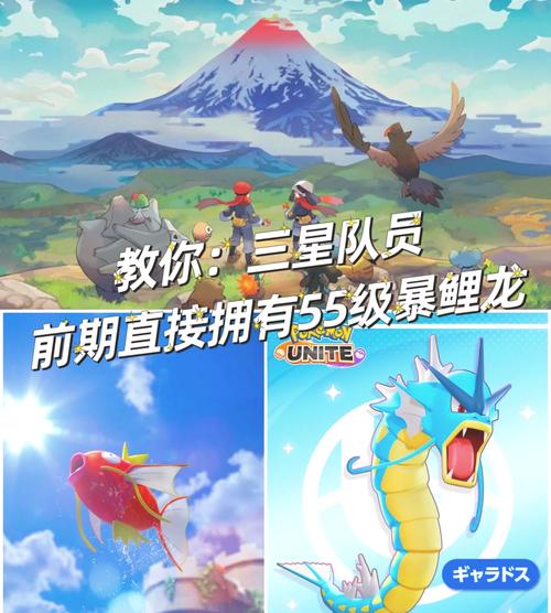 火红暴鲤龙性格配招