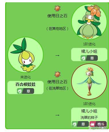 百合根娃娃几级进化好