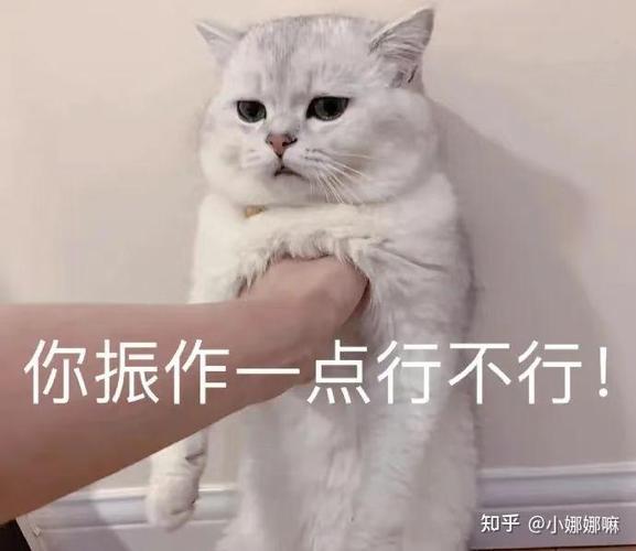 沙雕的人内心是怎样的