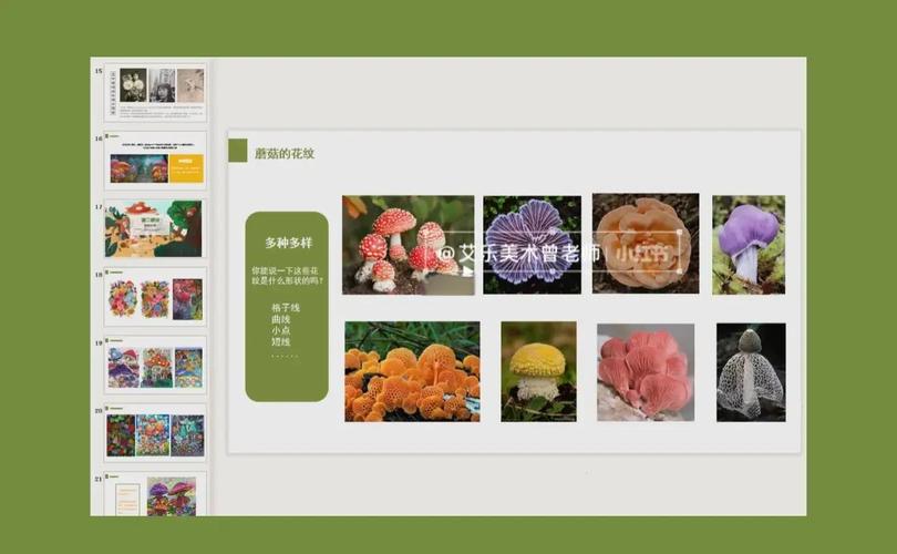蘑菇密码多少