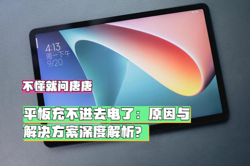 苹果平板为什么充不进去电截图2