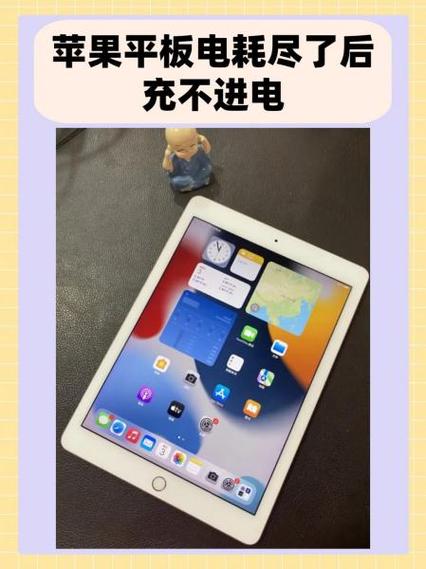 苹果平板为什么充不进去电截图3