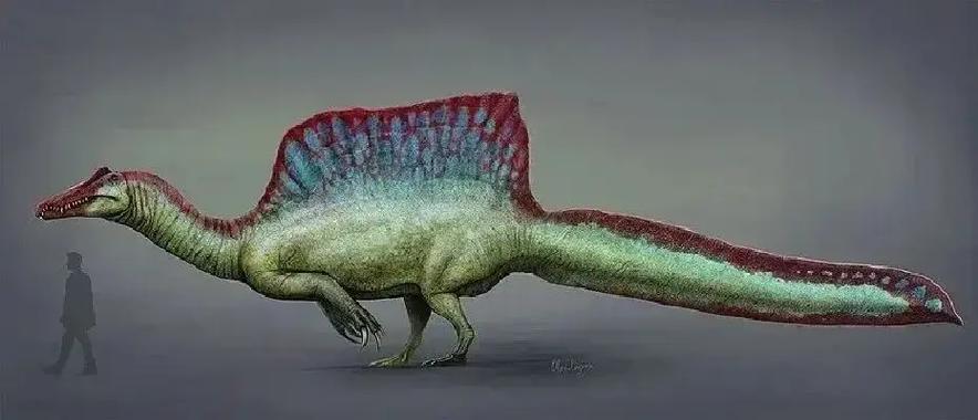 十大远古生物