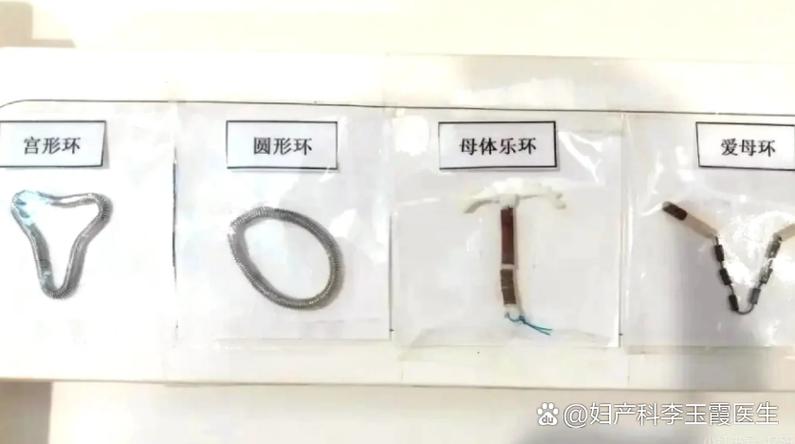 正规的宠物交易平台