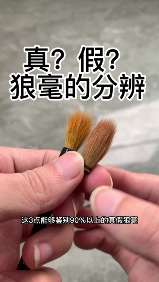 斑马羽毛笔辨别真伪
