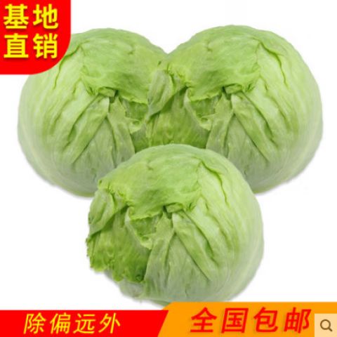 哪里能买到有机蔬菜