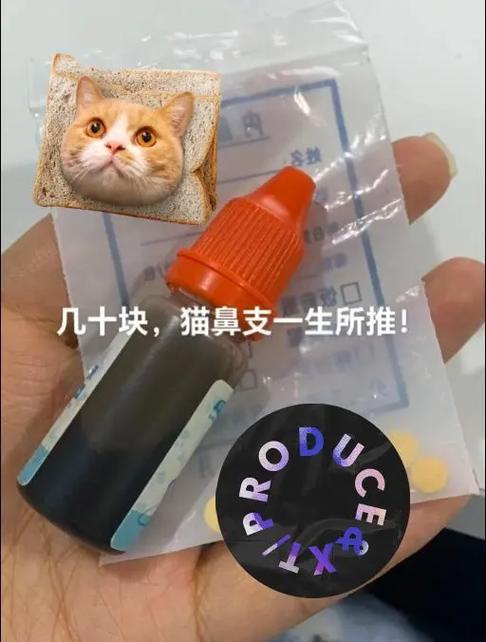 猫打喷嚏甩出浓稠鼻涕带血