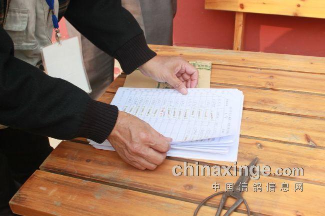 信鸽助手怎么接单截图2