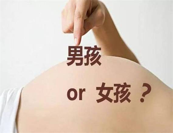 小崽子是说男孩还是女孩