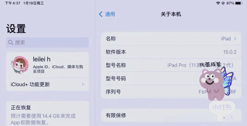 什么情况下ipad可以换新