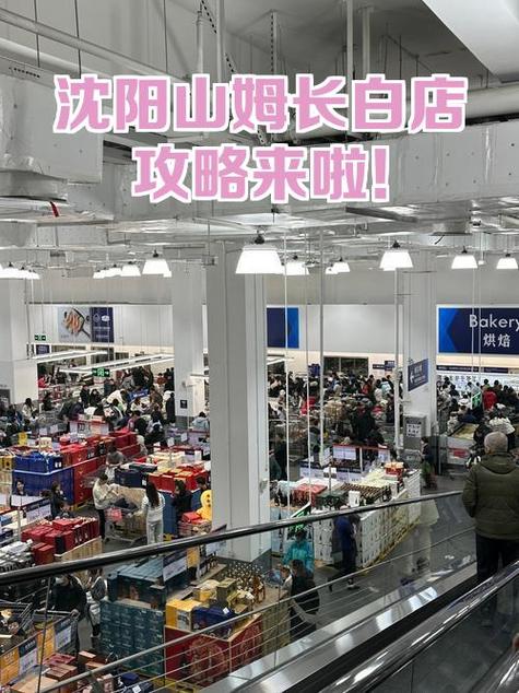 山姆工作经历