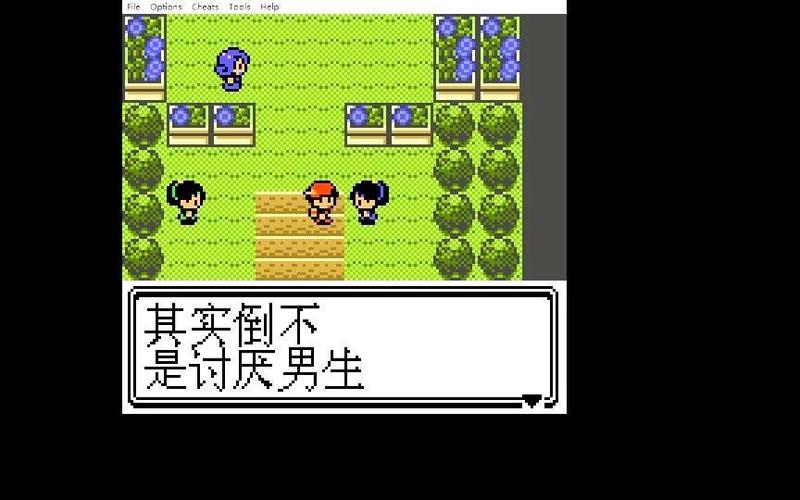 精灵宝可梦银版攻略截图3