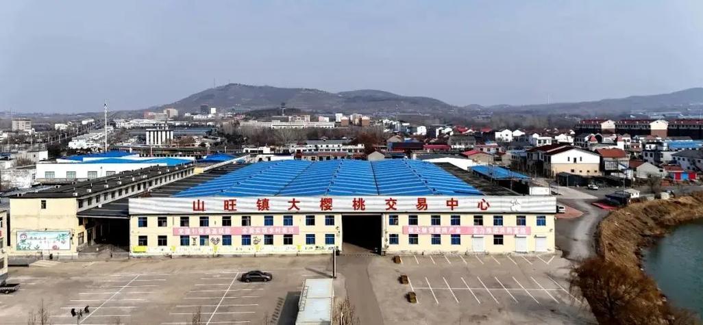 樱桃批发市场在哪里