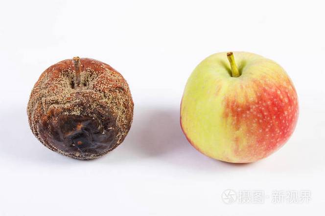 苹果摔了有白色条纹