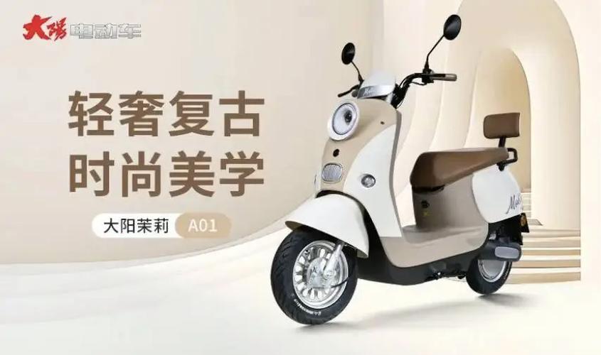 大阳电动车官方网站