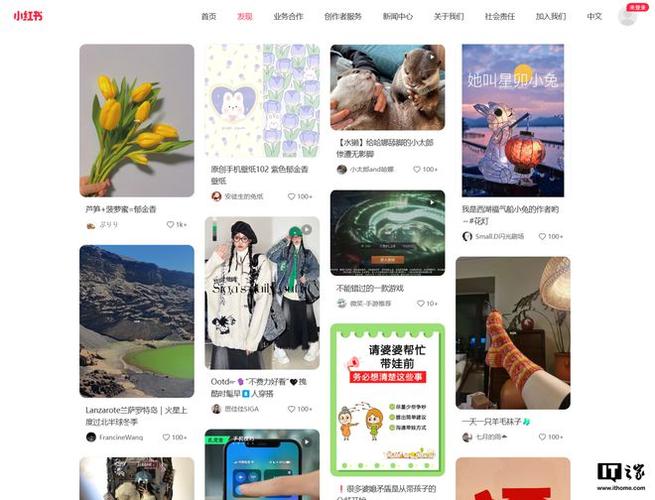 https.小红书.www