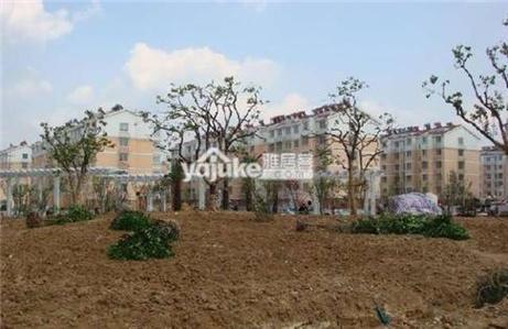 江苏省徐州市蟠桃花园属于哪个区