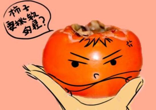 男人发柿子暗示啥意思