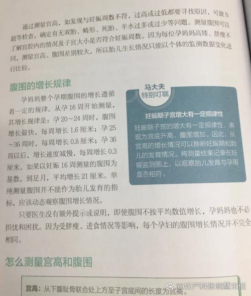 胎儿体重如何估算