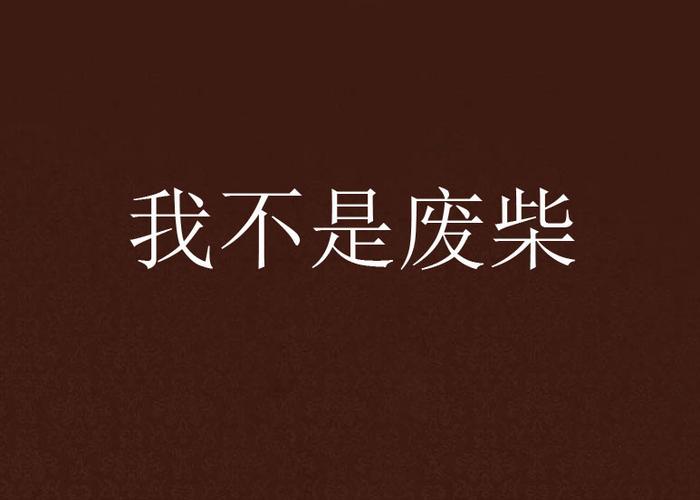 我不是废柴电视剧免费观看