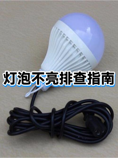家里其他都有电就灯不亮咋回事