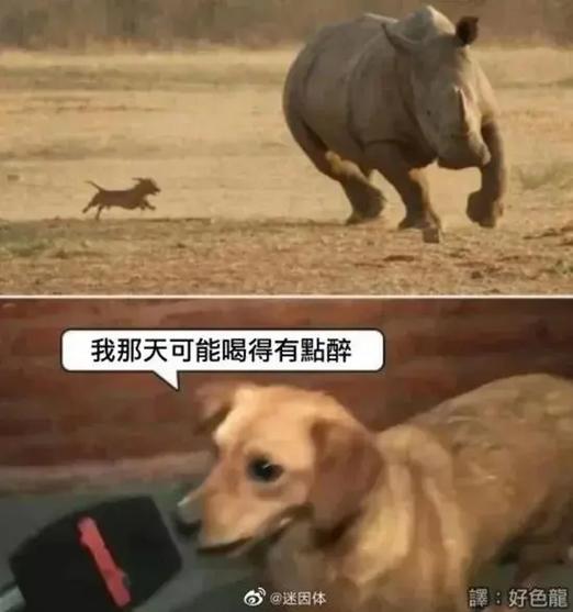 像内涵段子一样的软件