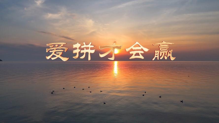爱拼才会赢下载