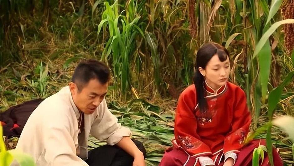 在线观看电视剧红高粱