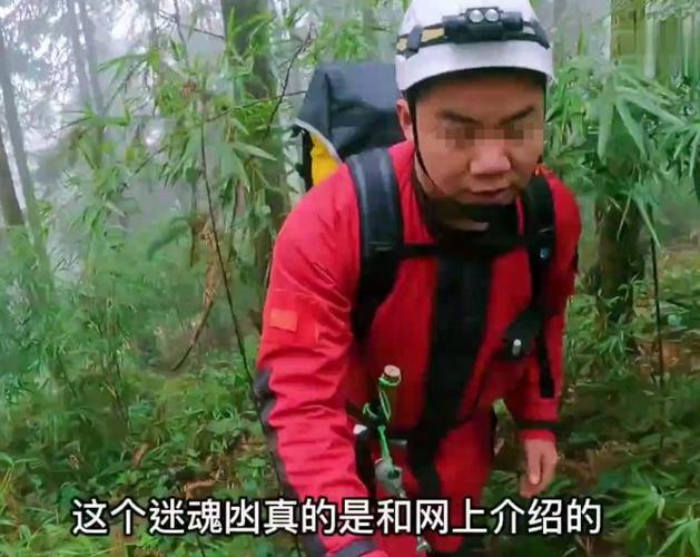 iphone一直正在搜索