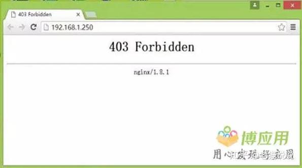 旧版博应用