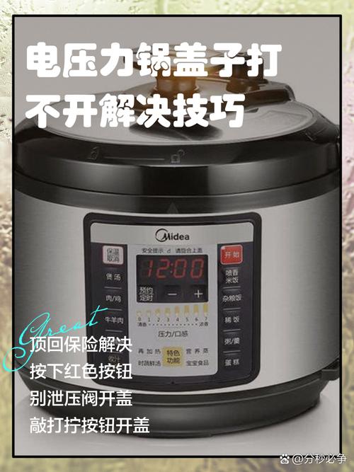 电压力锅尖叫声是什么问题