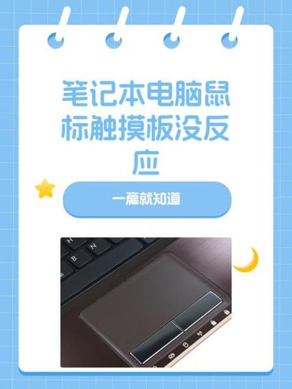 笔记本电脑鼠标没反应